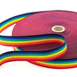 Rainbow Webbing - 25mm
