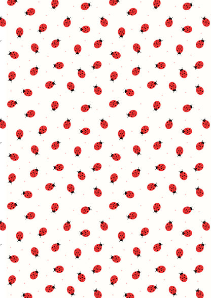 Small things ladybirds