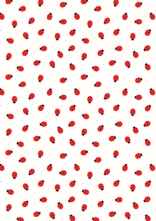 Small things ladybirds