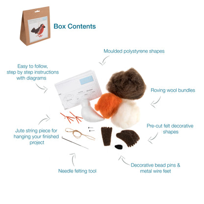 Needle Felting Kit: Robin