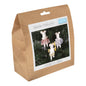 Needle Felting Kit: Ballerina Mice Tro