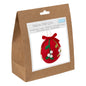 Needle Felting Kit: Christmas Bauble