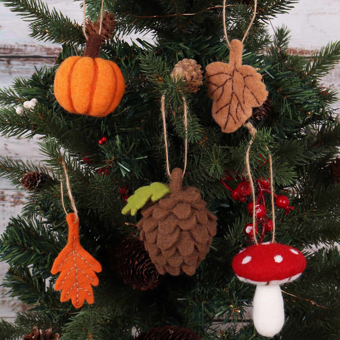 Needle Felting Kit: Autumnal Colection