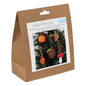 Needle Felting Kit: Autumnal Colection