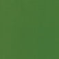 Evergreen - Bella Solids