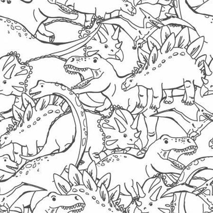 Totally Roarsome Dino Outlines - Flannel