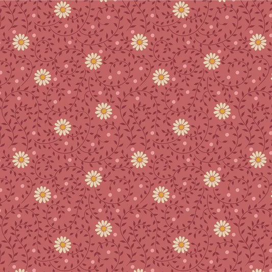 Daisy Dream - Rhubarb